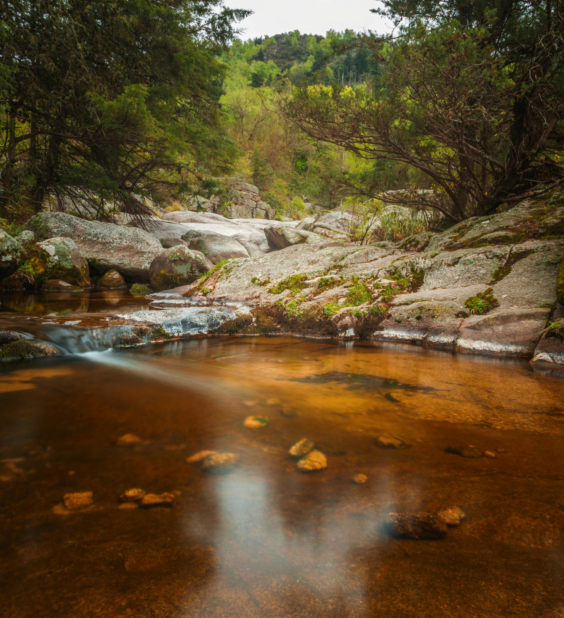 Primera medición de huella de carbono de Alpogo